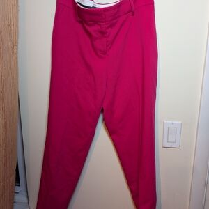 Ann Taylor Fuchsia Pants